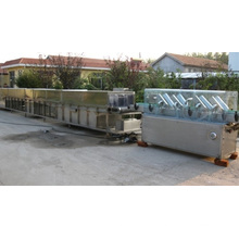 Ampoule Ultrasonic Sterilizing Washing Filling Line